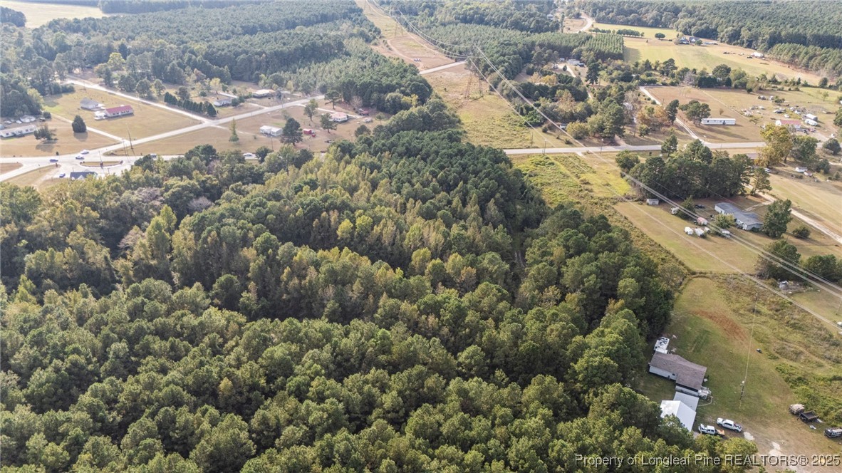 4251 Chicken Foot Road St. Pauls, NC 28384 - Photo 10 of 18