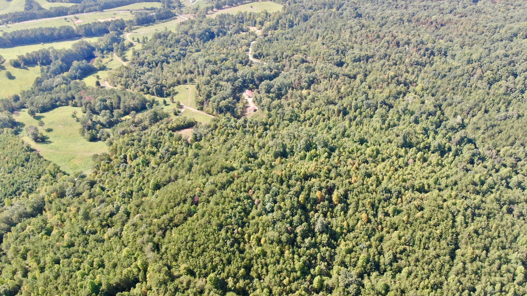 0 Liberty Church Road Old Fort, TN 37362 - Photo 3 of 5