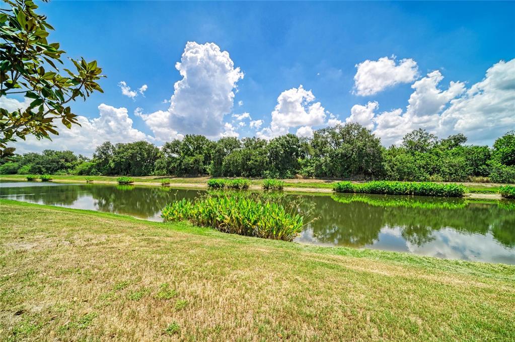 316 Star Shell Drive Apollo Beach, FL 33572 - Photo 49 of 57