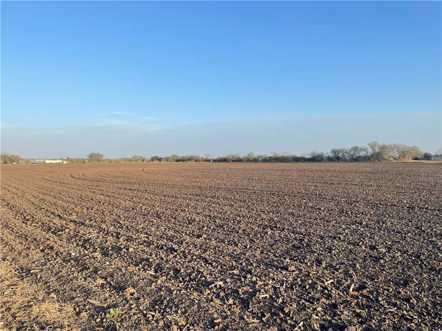 $115,000 | Lot 1 County Road 732, Sinton, TX 78387