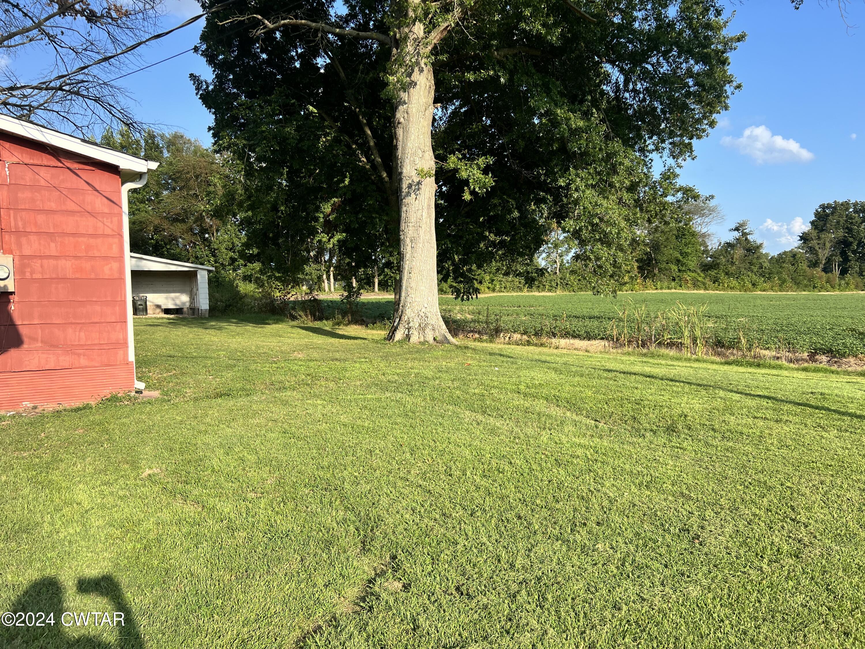 141 Currie Road Dyer, TN 38330 - Photo 7 of 7 Back Yard
