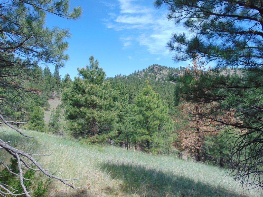 19 Lookout Lane Cascade, MT 59421 - Photo 11 of 30 Gallery Image 11