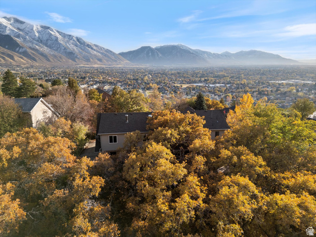 2078 Spring Oaks Drive Springville, UT 84663 - Photo 3 of 40 View of mountain backdrop featuring a tree filled landscape