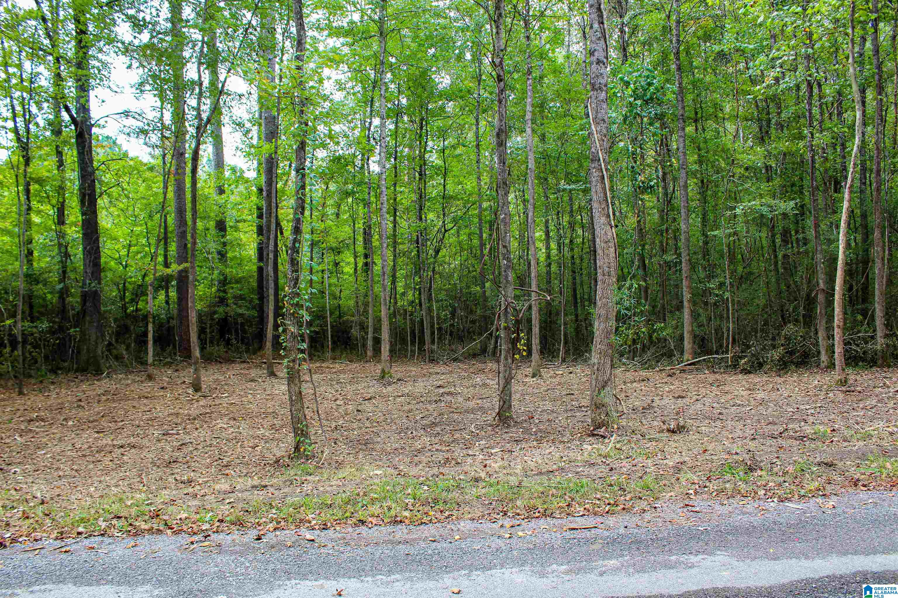 1 Highway 18, Unit 1 Oakman, AL 35579 - Photo 22 of 46