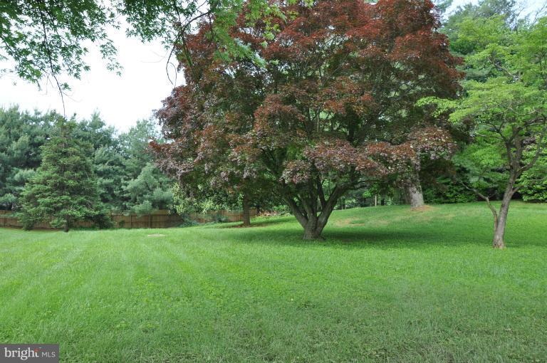 4221 Manorview Road Glen Arm, MD 21057 - Photo 10 of 17 Exterior (Rear)