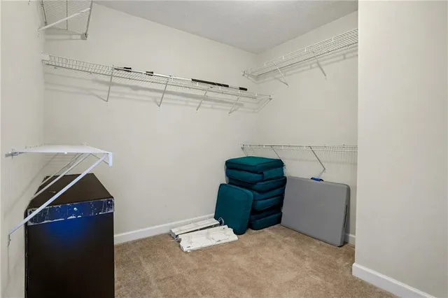a view of storage and utility room with racks on the wall
