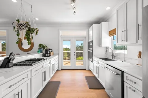 a bedroom with a large bed and a potted plant