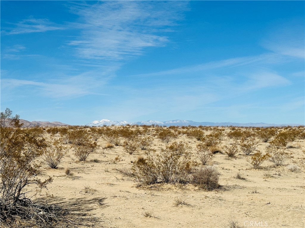 1 Charlotte Road Twentynine Palms, CA 92277 - Photo 1 of 5 a view of outdoor space and mountain view