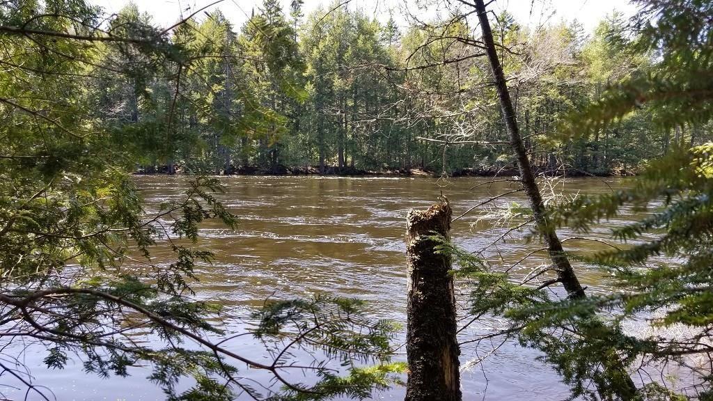 14-15 Haynes Road Wytopitlock, ME 04497 - Photo 25 of 31 River 7