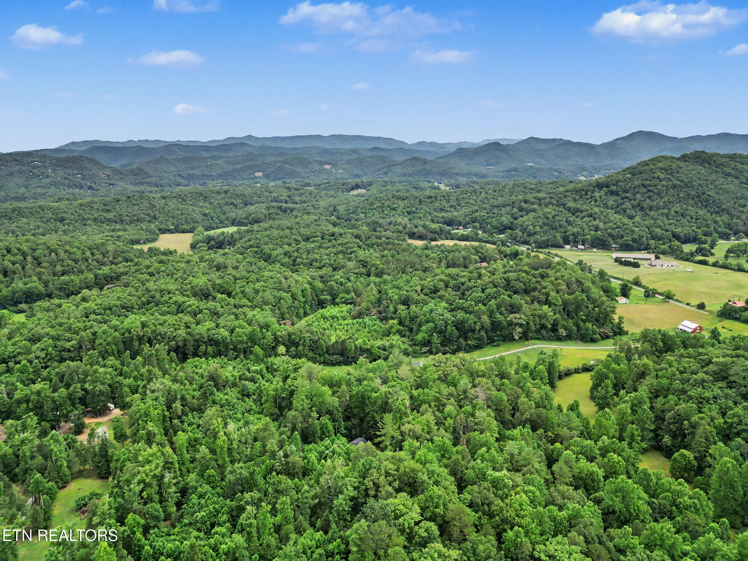 1006 Dry Valley Road Townsend, TN 37882 - Photo 50 of 54 49_dji_0084