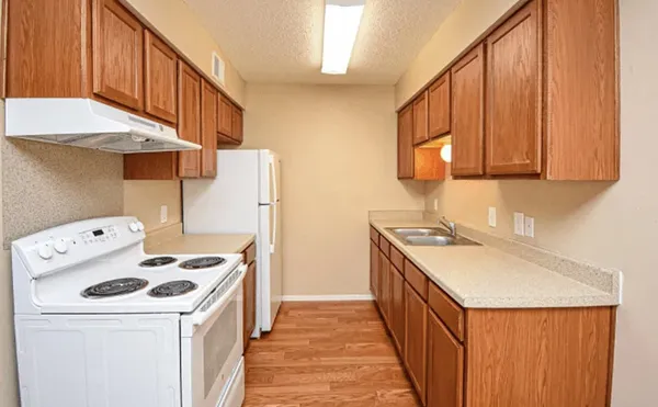a kitchen with a stove a sink and a refrigerator