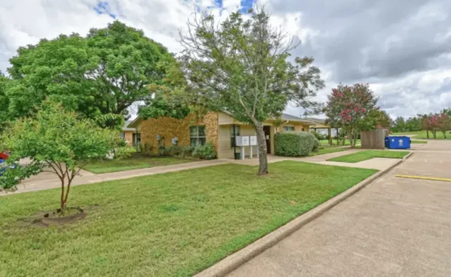 a view of a park with a large trees