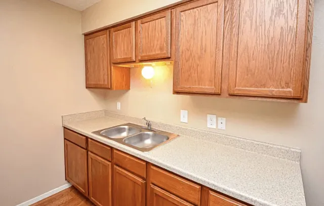a kitchen with a sink cabinets and a window