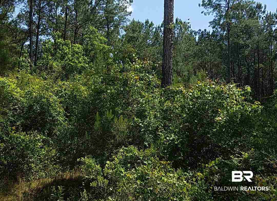 0 Dove Lane Elberta, AL 36530 - Photo 1 of 1