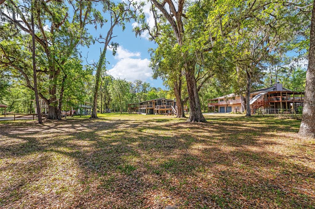 7870 Southwest 25th Place Bell, FL 32619 - Photo 40 of 93 a view of a house with a large tree