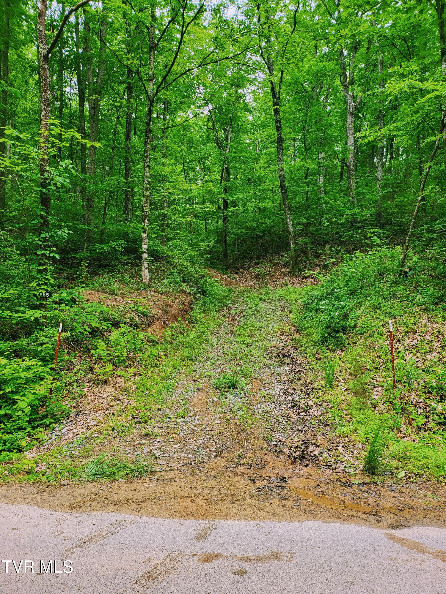 2065 Dyer Hollow Road Mohawk, TN 37810 - Photo 1 of 8 20250509_112731~2