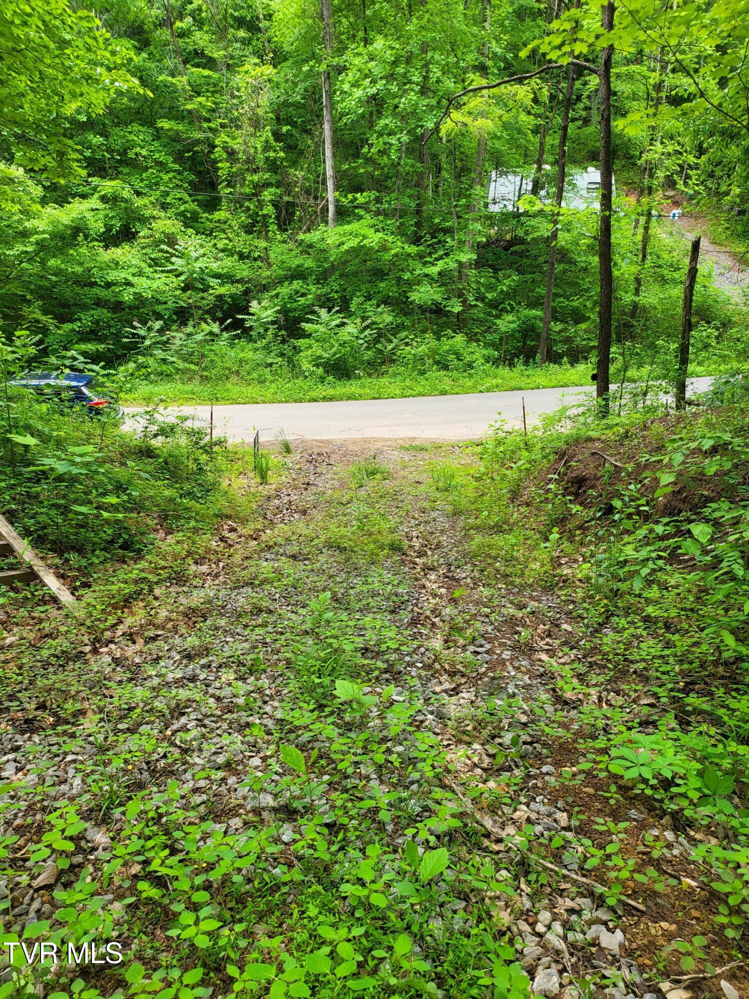 2065 Dyer Hollow Road Mohawk, TN 37810 - Photo 2 of 8 20250509_114057