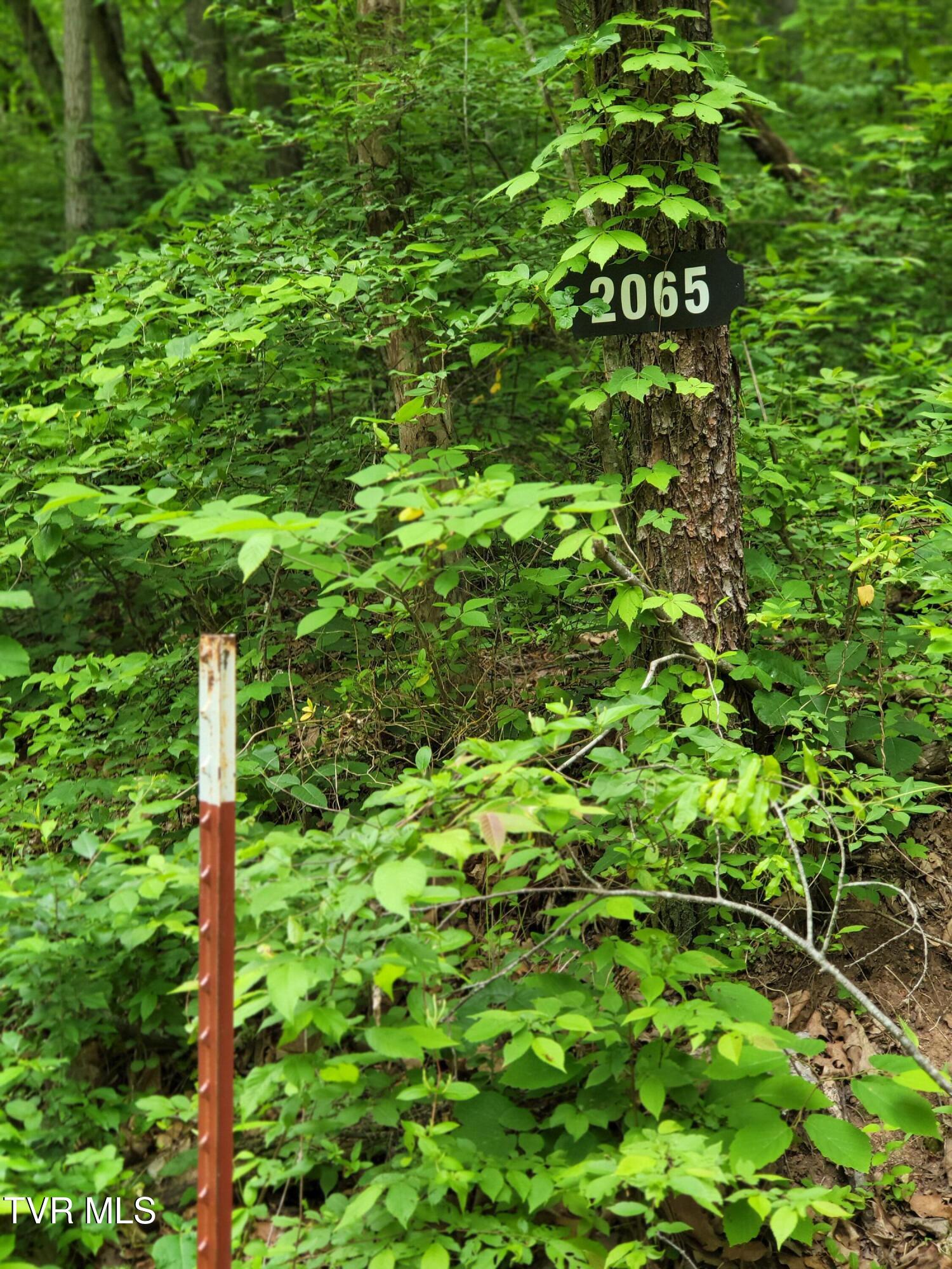 2065 Dyer Hollow Road Mohawk, TN 37810 - Photo 3 of 8 20250509_114202 - Copy