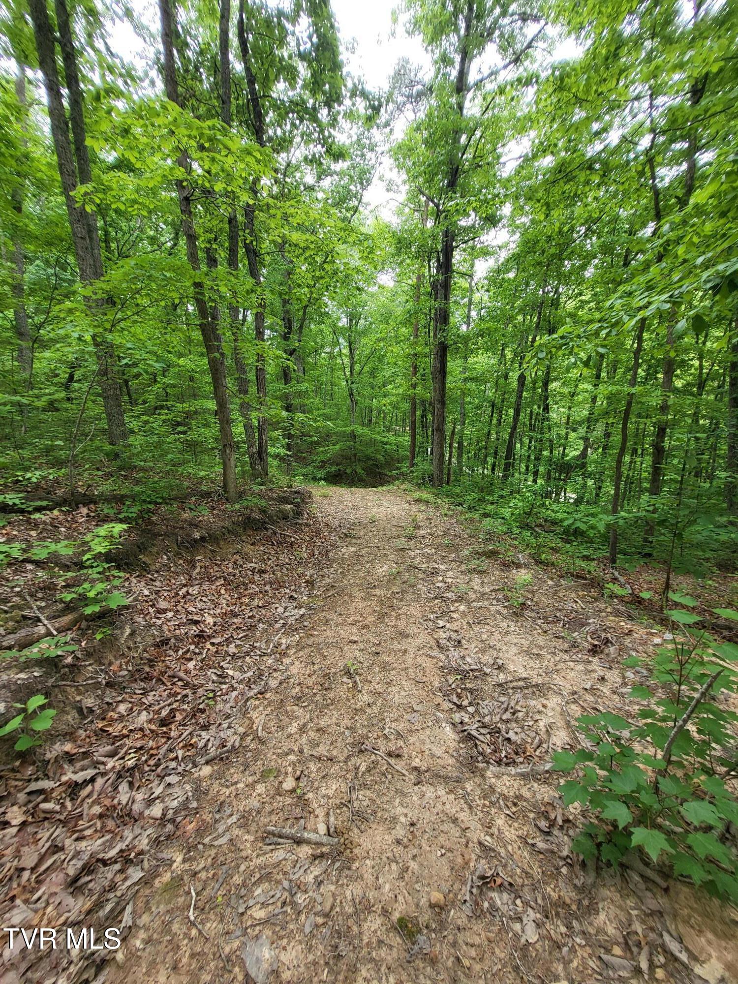 2065 Dyer Hollow Road Mohawk, TN 37810 - Photo 4 of 8 20250509_113802 (1)