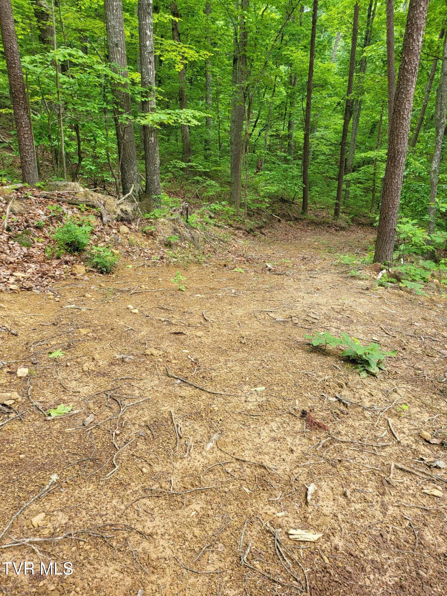 2065 Dyer Hollow Road Mohawk, TN 37810 - Photo 7 of 8 20250509_113616