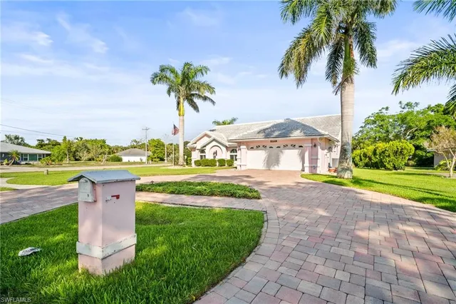 a view of a garden with palm trees