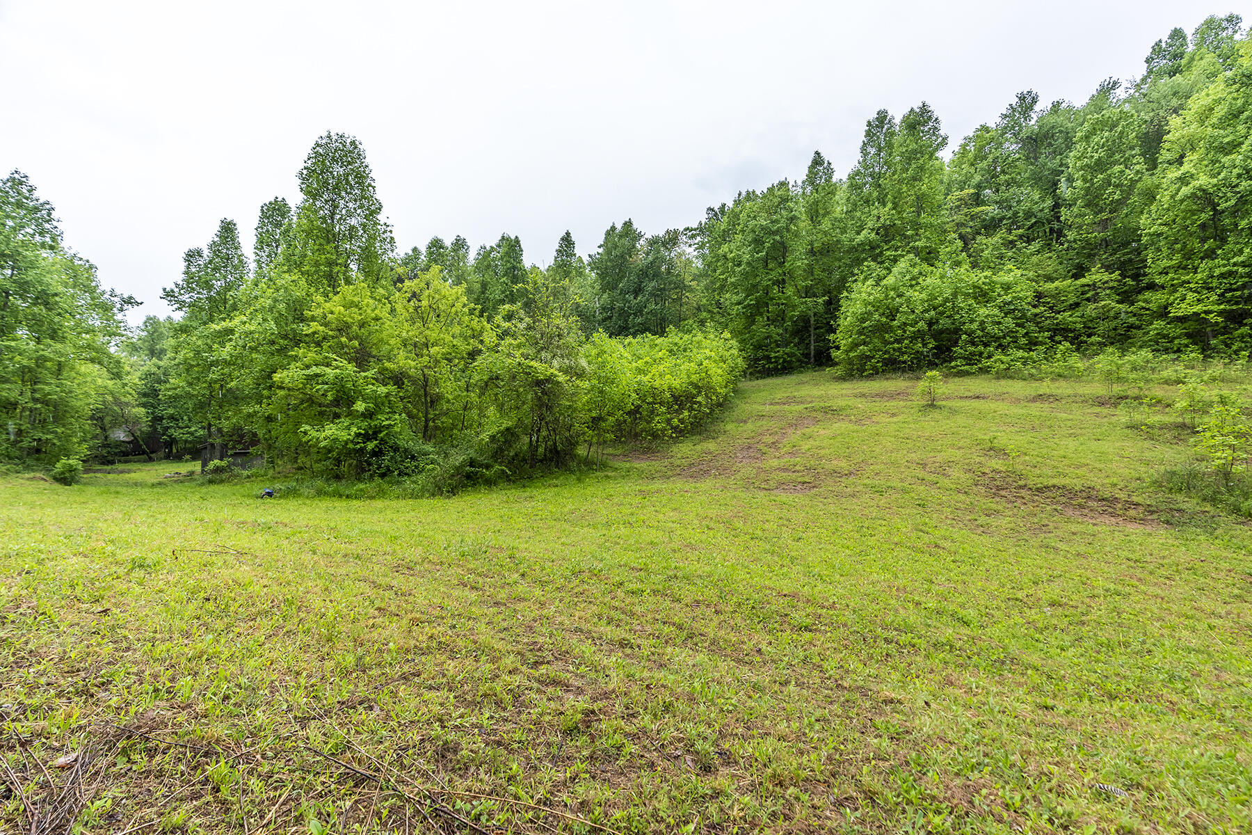 123 Duke Powell Road McKee, KY 40447 - Photo 10 of 18 123duke10