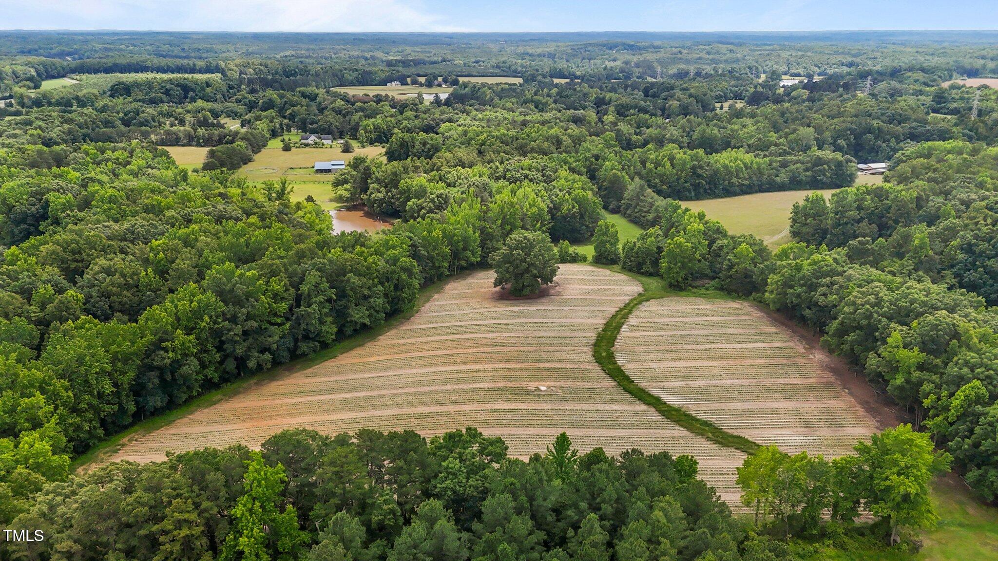 1167 John D Winstead Road Roxboro, NC 27574 - Photo 54 of 55 41-web-or-mls-DJI_20250530141800_0242_D