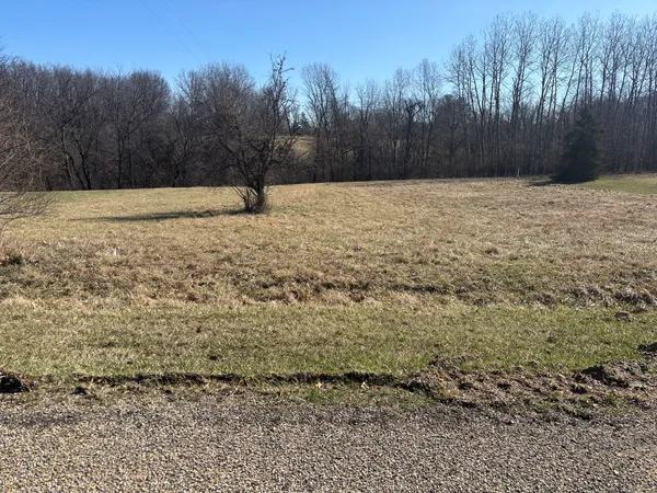 a view of backyard with wooden fence