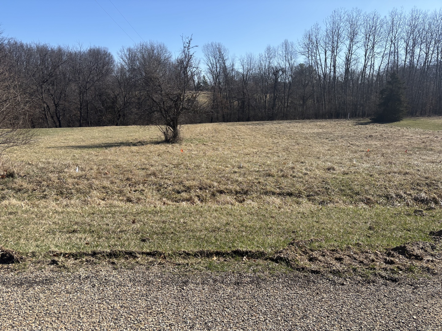 1050 Spring Mill Court Varna, IL 61375 - Photo 1 of 5 a view of backyard with wooden fence