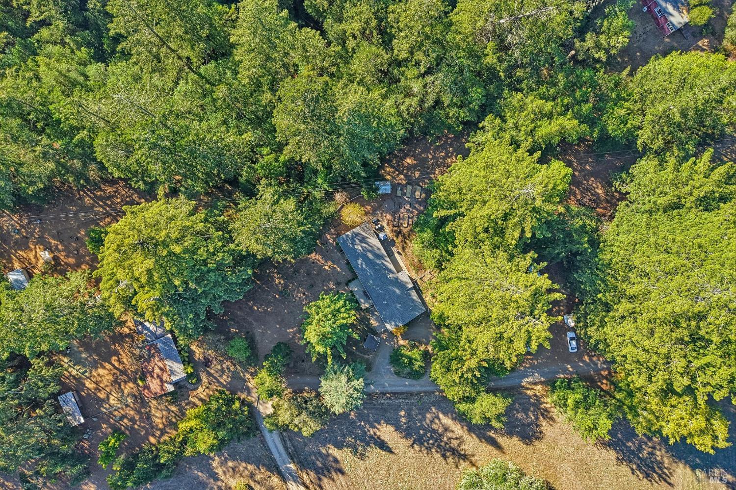 16560 Coleman Valley Road Occidental, CA 95465 - Photo 76 of 87 Gallery Image 76