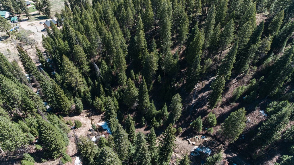 31-33 Bacon Creek Road Cascade, ID 83611 - Photo 33 of 33 Lots of timber