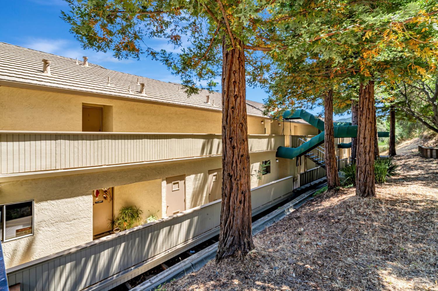 270 Channing Way, Unit 1 San Rafael, CA 94903 - Photo 25 of 32