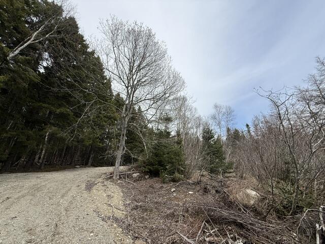 Lot 4 Holmes Bay Farms Road Whiting, ME 04691 - Photo 8 of 18 IMG_9160