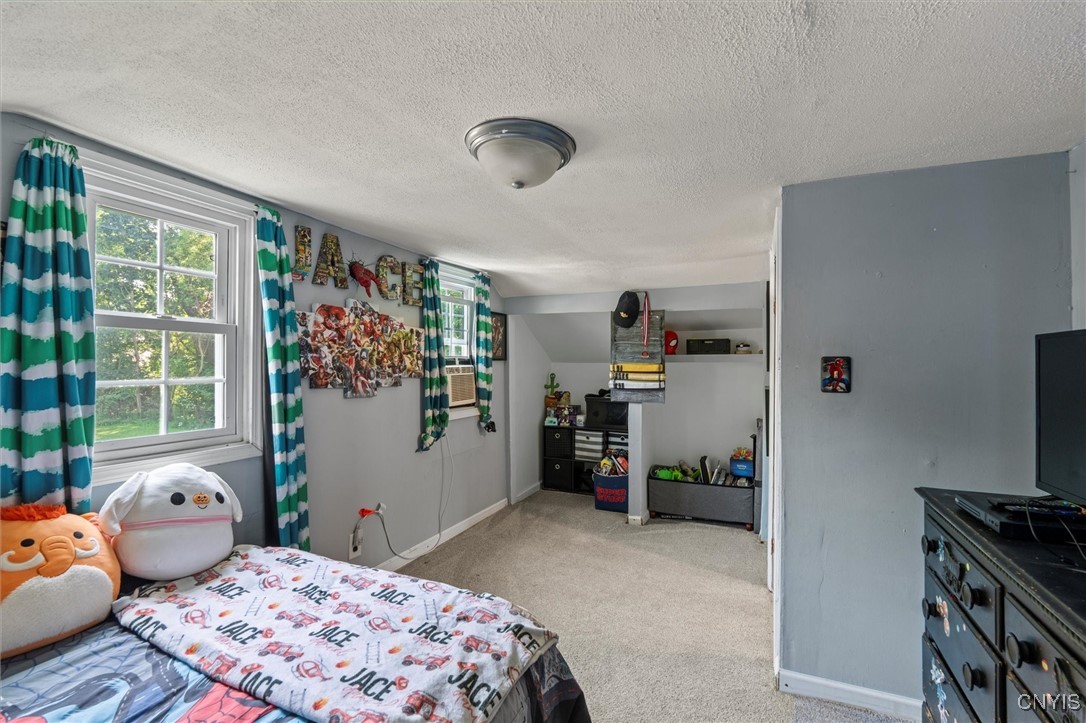 6182 Airport Road Camillus, NY 13209 - Photo 14 of 20