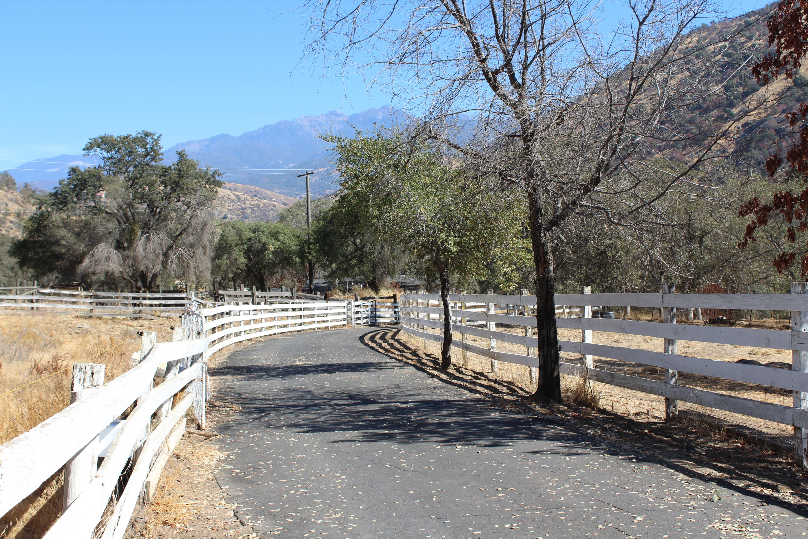 37980 Balch Park Road Springville, CA 93265 - Photo 4 of 7 IMG_1811