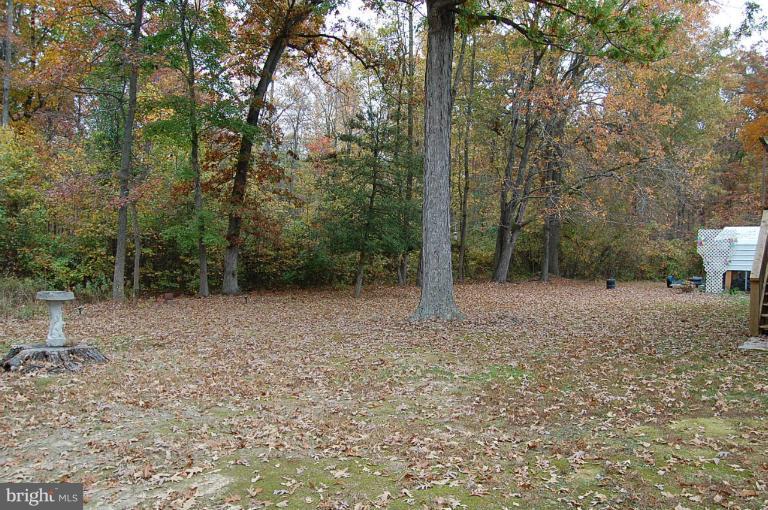 1900 Perryman Road Aberdeen, MD 21001 - Photo 21 of 21 a view of a forest with trees in the background