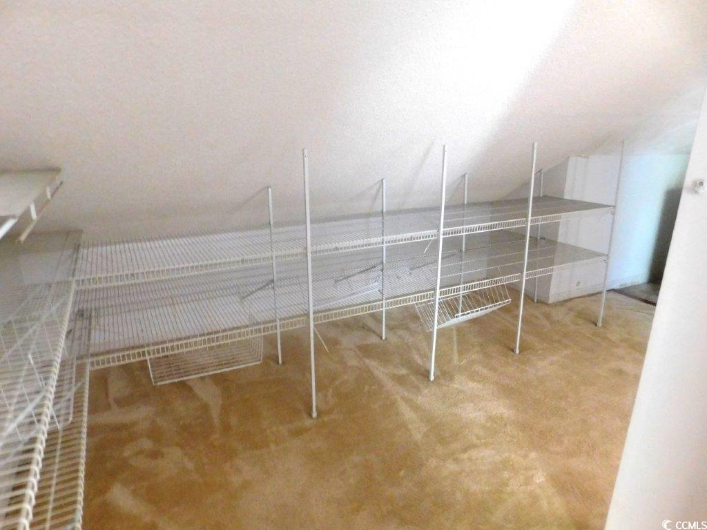 1202 Tiffany Lane, Unit D Myrtle Beach, SC 29577 - Photo 18 of 21 Walk in closet with carpet flooring