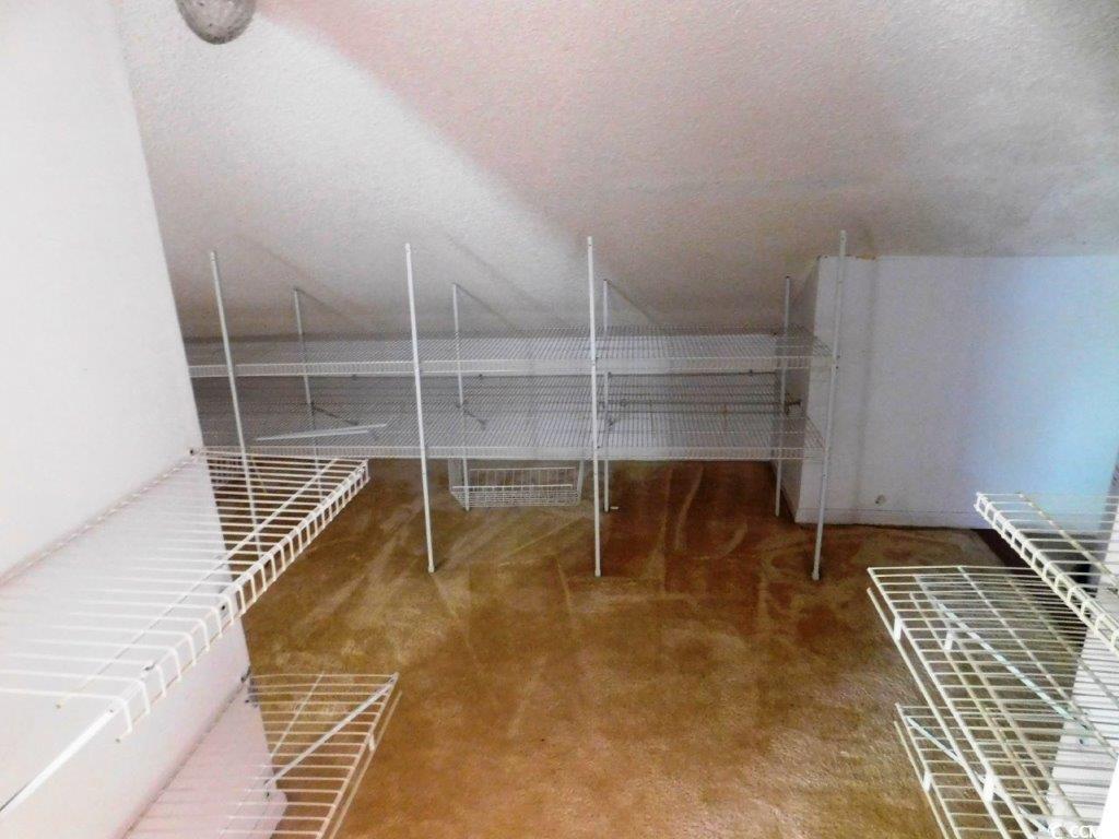 1202 Tiffany Lane, Unit D Myrtle Beach, SC 29577 - Photo 19 of 21 Walk in closet featuring carpet flooring