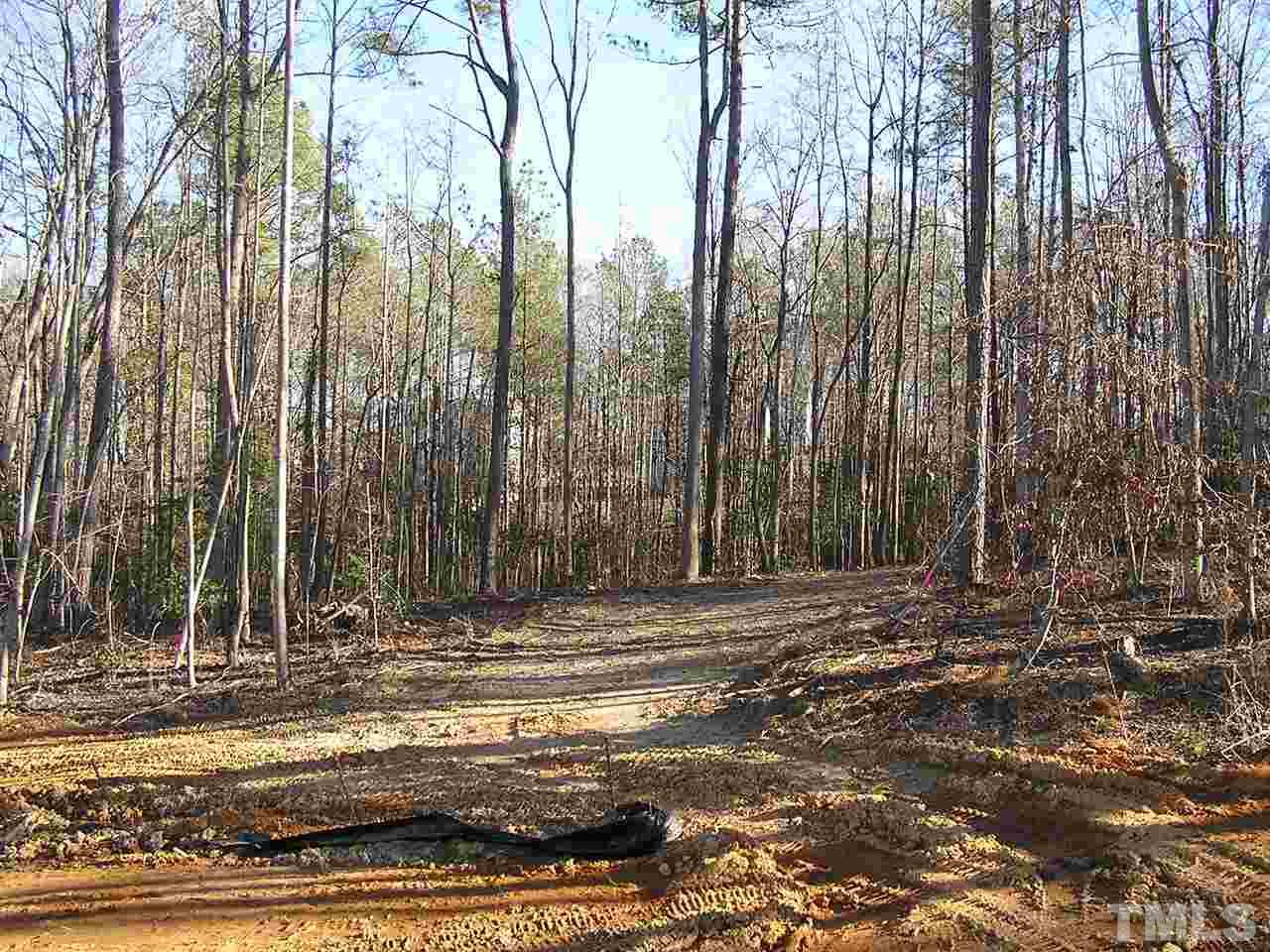 6509 Clogher Road Willow Spring, NC 27592 - Photo 5 of 8 Gallery Image 5