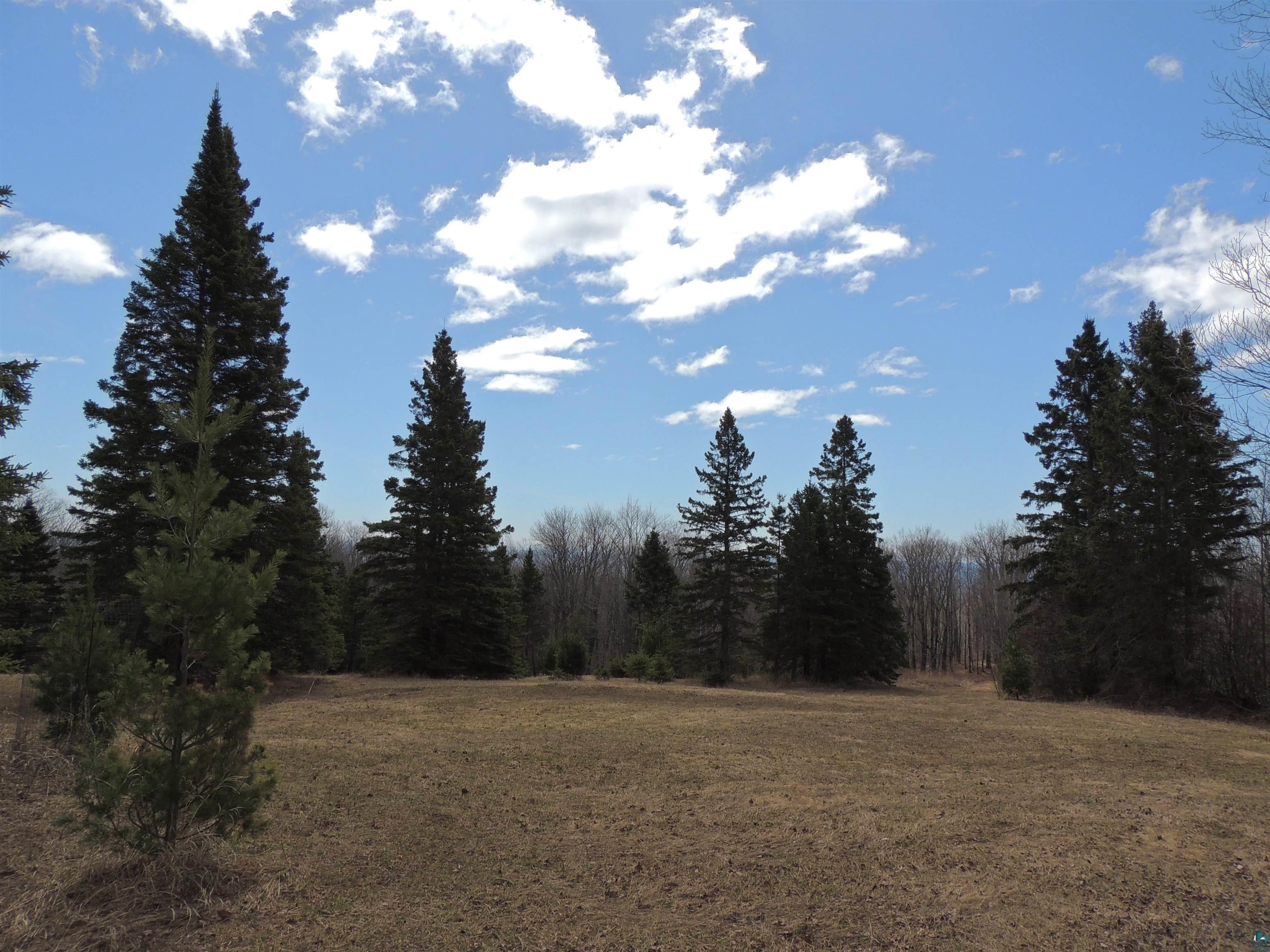 Xxx Springdale Road Tofte, MN 55615 - Photo 29 of 36