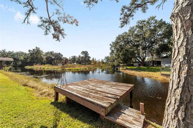a view of a backyard with large trees
