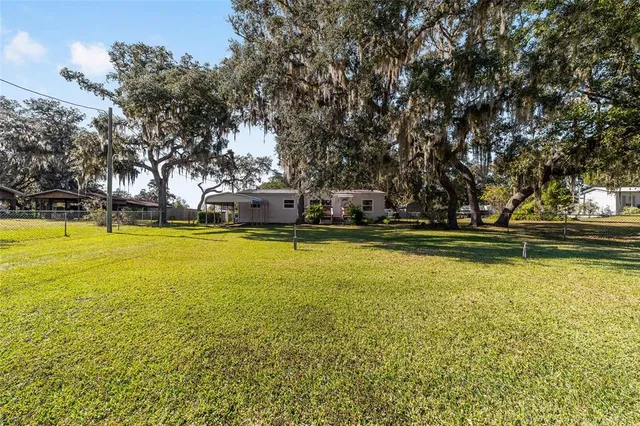 a view of a house with backyard and a tree