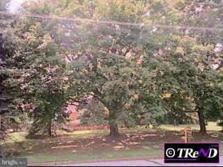 17 Williams Road Haverford, PA 19041 - Photo 1 of 1 Gallery Image 1