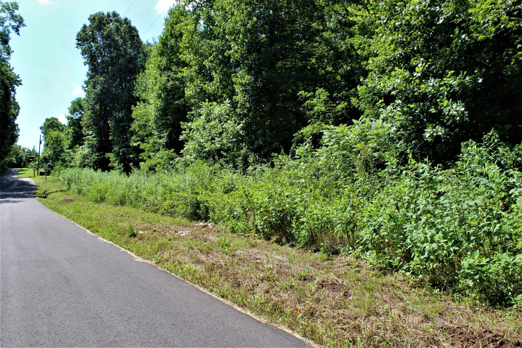1200 Cloyds Church Road Greenback, TN 37742 - Photo 4 of 5 Gallery Image 4