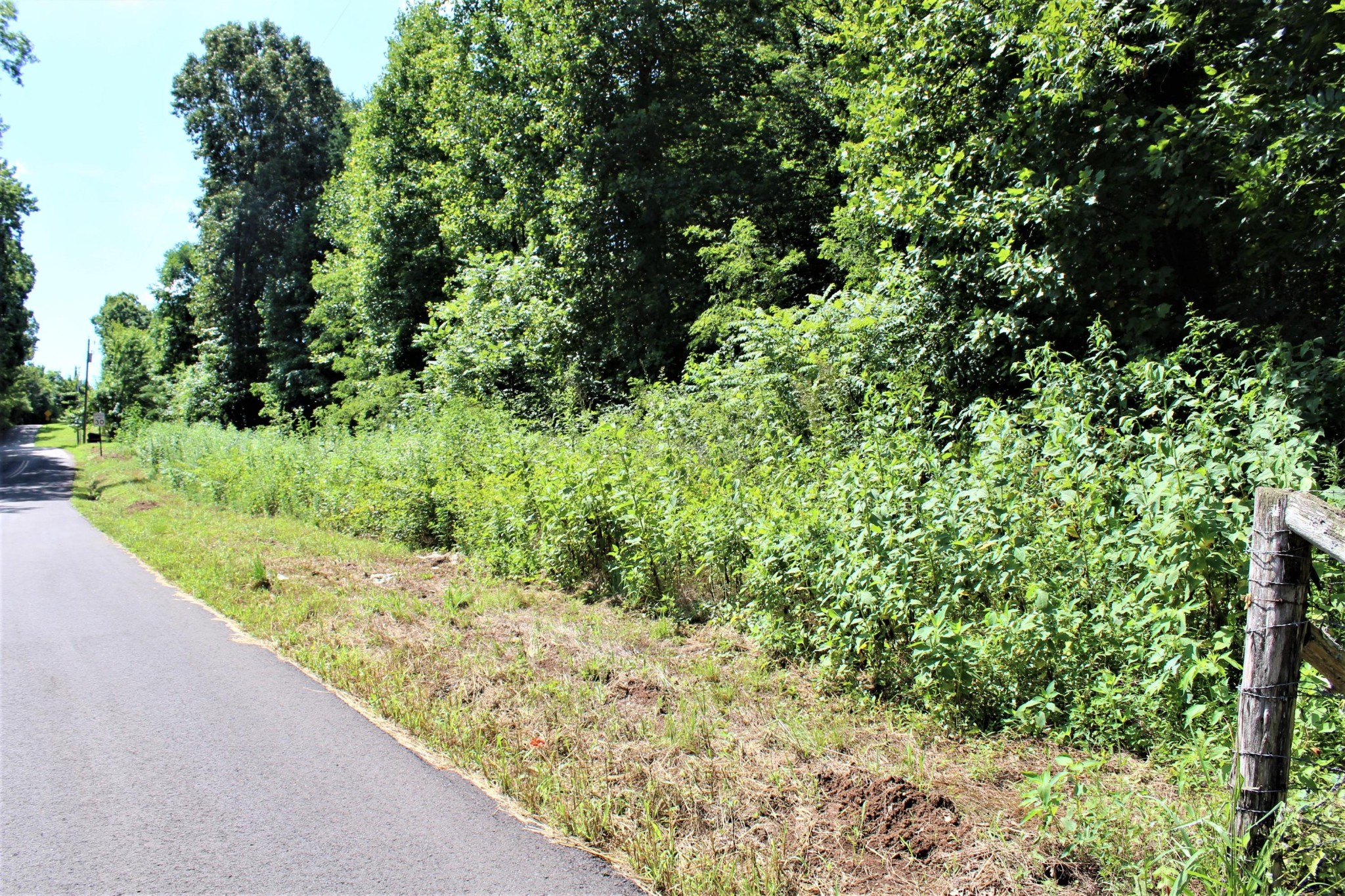 1200 Cloyds Church Road Greenback, TN 37742 - Photo 5 of 5 Gallery Image 5