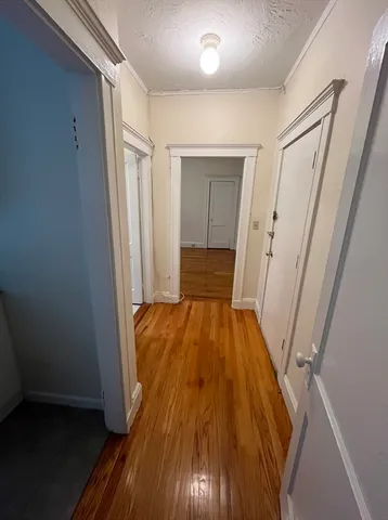 a view of bathroom with wooden floor