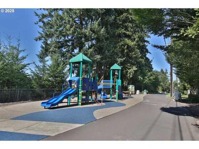 a view of a park with large trees