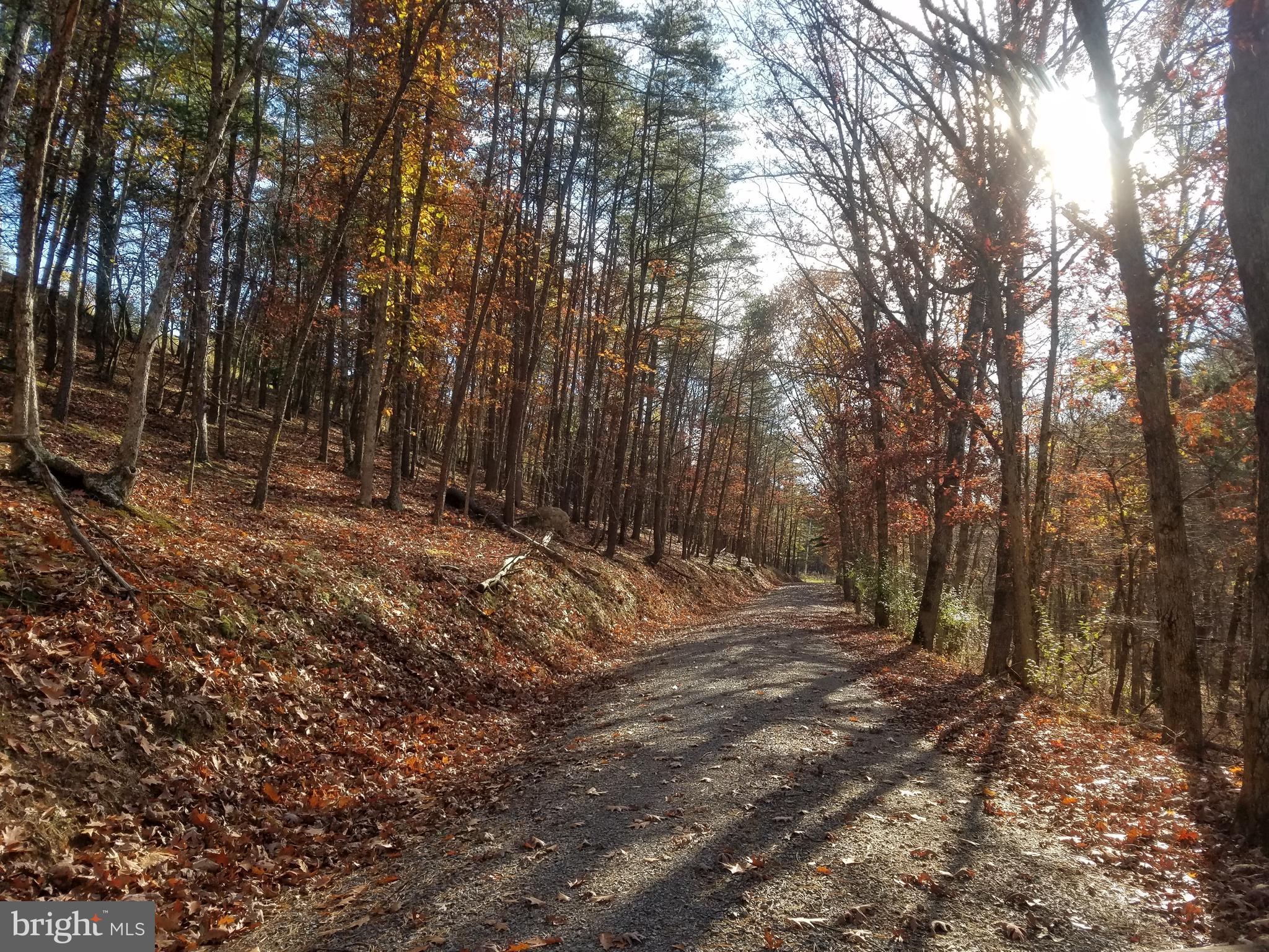 Church Hollow Road Romney, WV 26757 - Photo 1 of 20