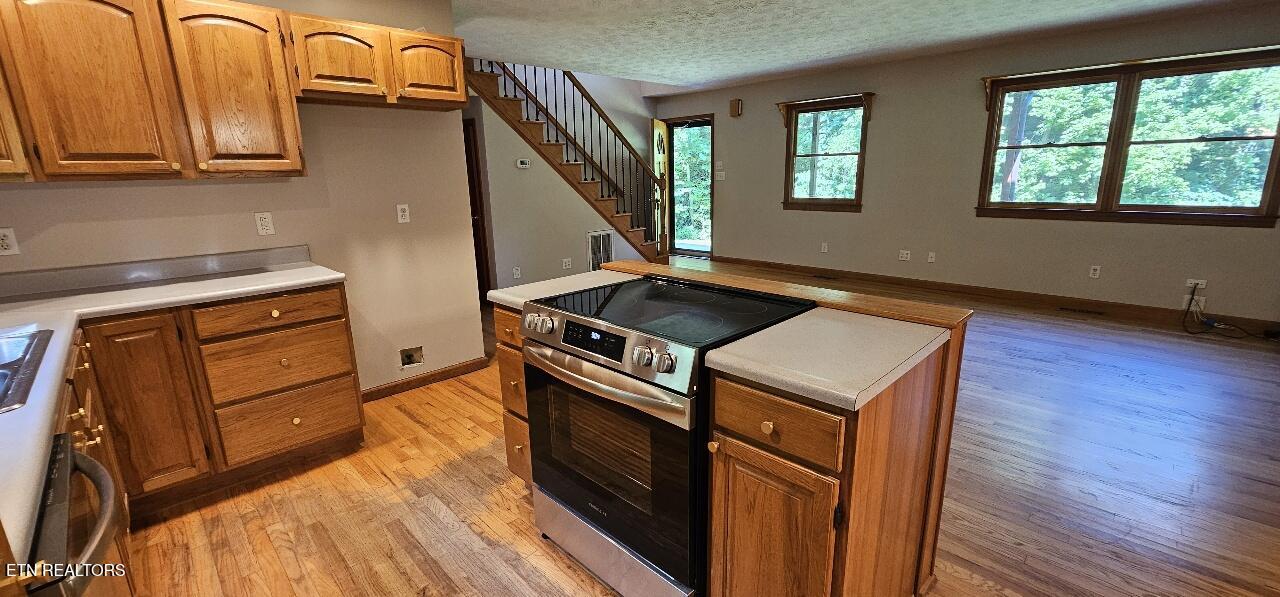 360 Front Street Luttrell, TN 37779 - Photo 8 of 53 17829109098129