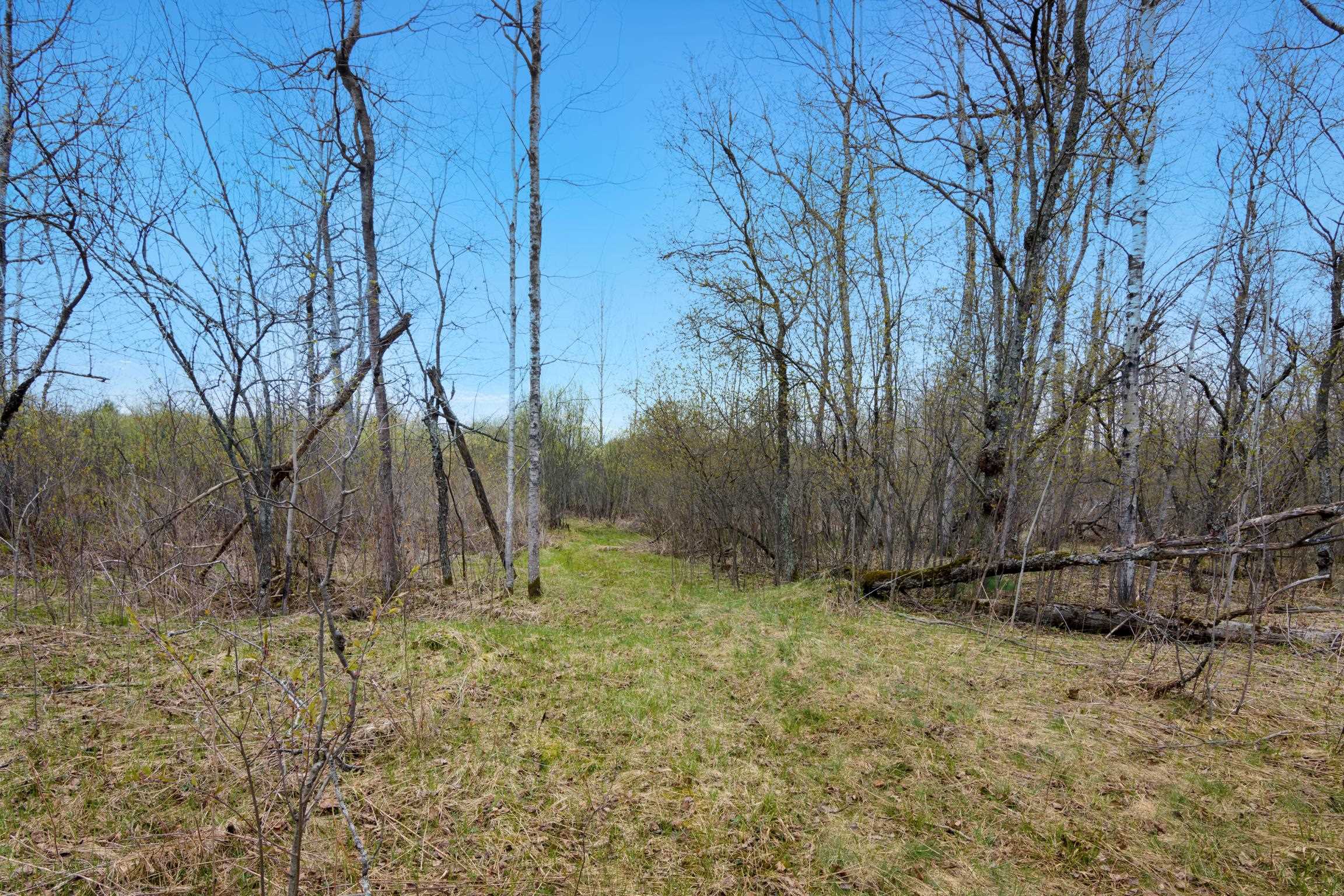 7578 South River Road Kalkaska, MI 49646 - Photo 29 of 32